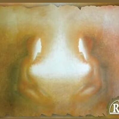 Article image - web 580x400